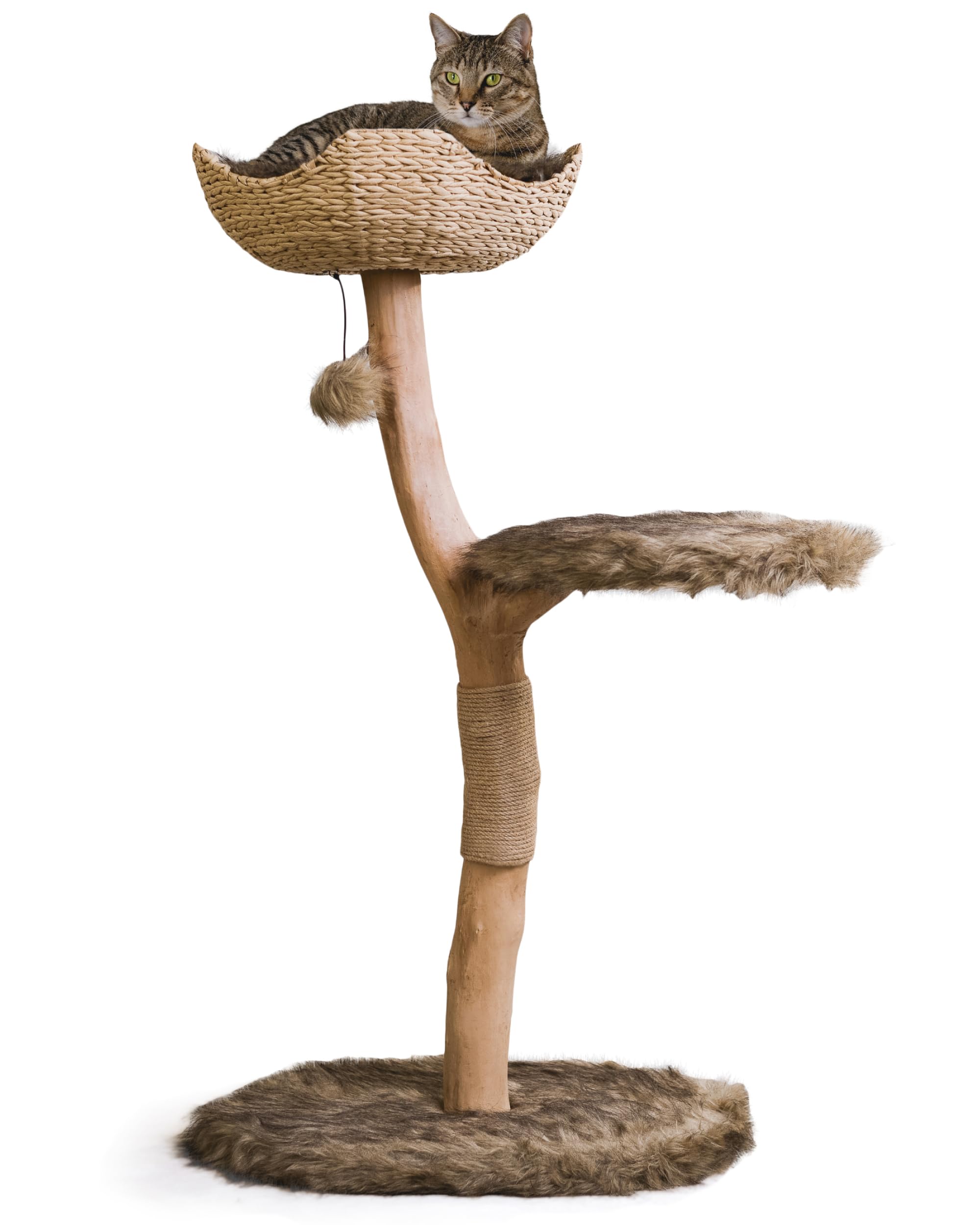 Wooden Cat Tree Tower Modern Single Branch Cat Climbing Furniture by MAU LIFESTYLE (Brown)