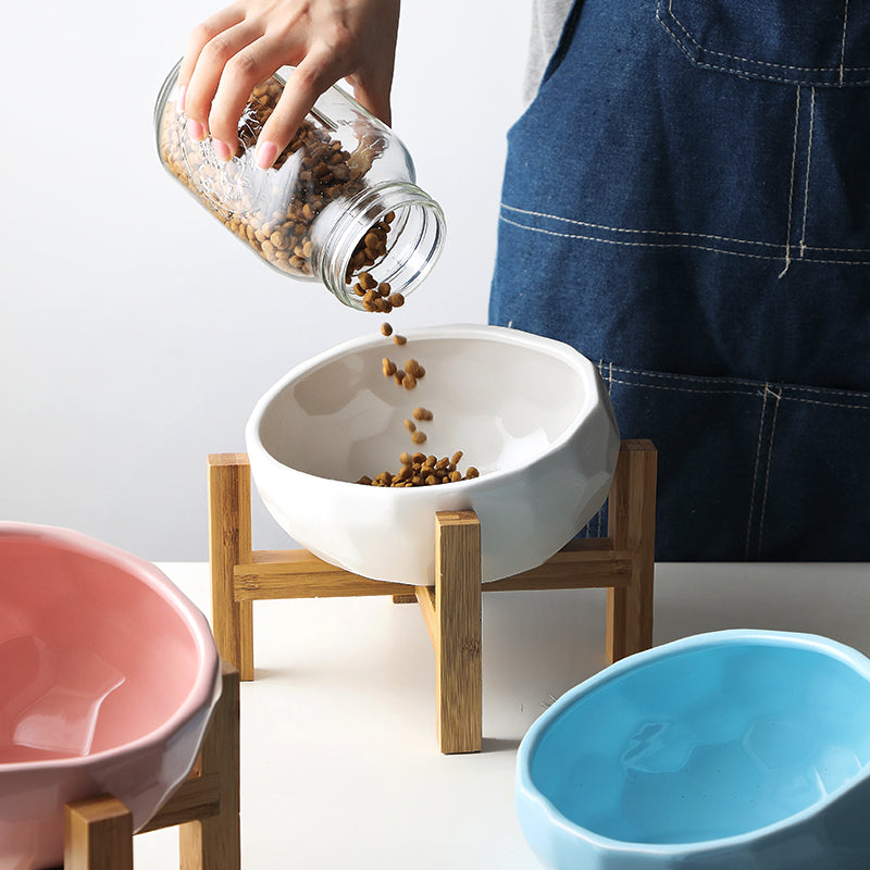 Ceramic Cat Bowl Set for Cats