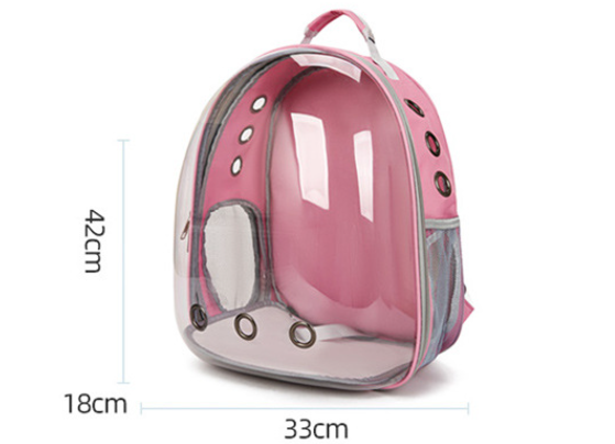 Transparent Cat Backpack and Carrier