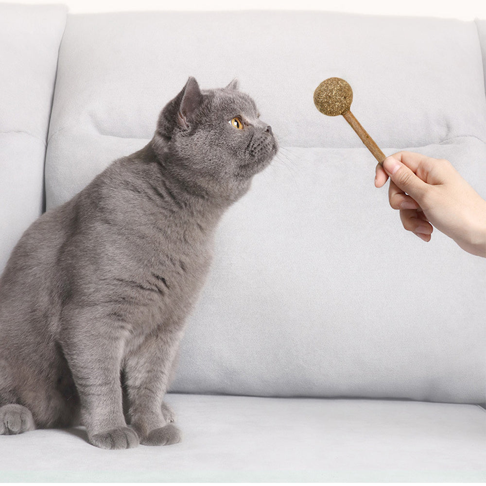 Feline Fun Lollipop Catnip Toy