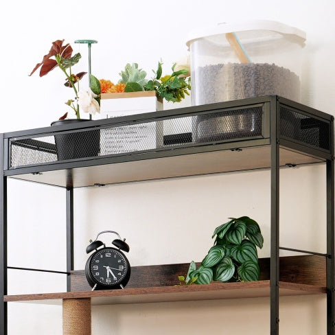 Hidden Litter Box Enclosure With Shelves