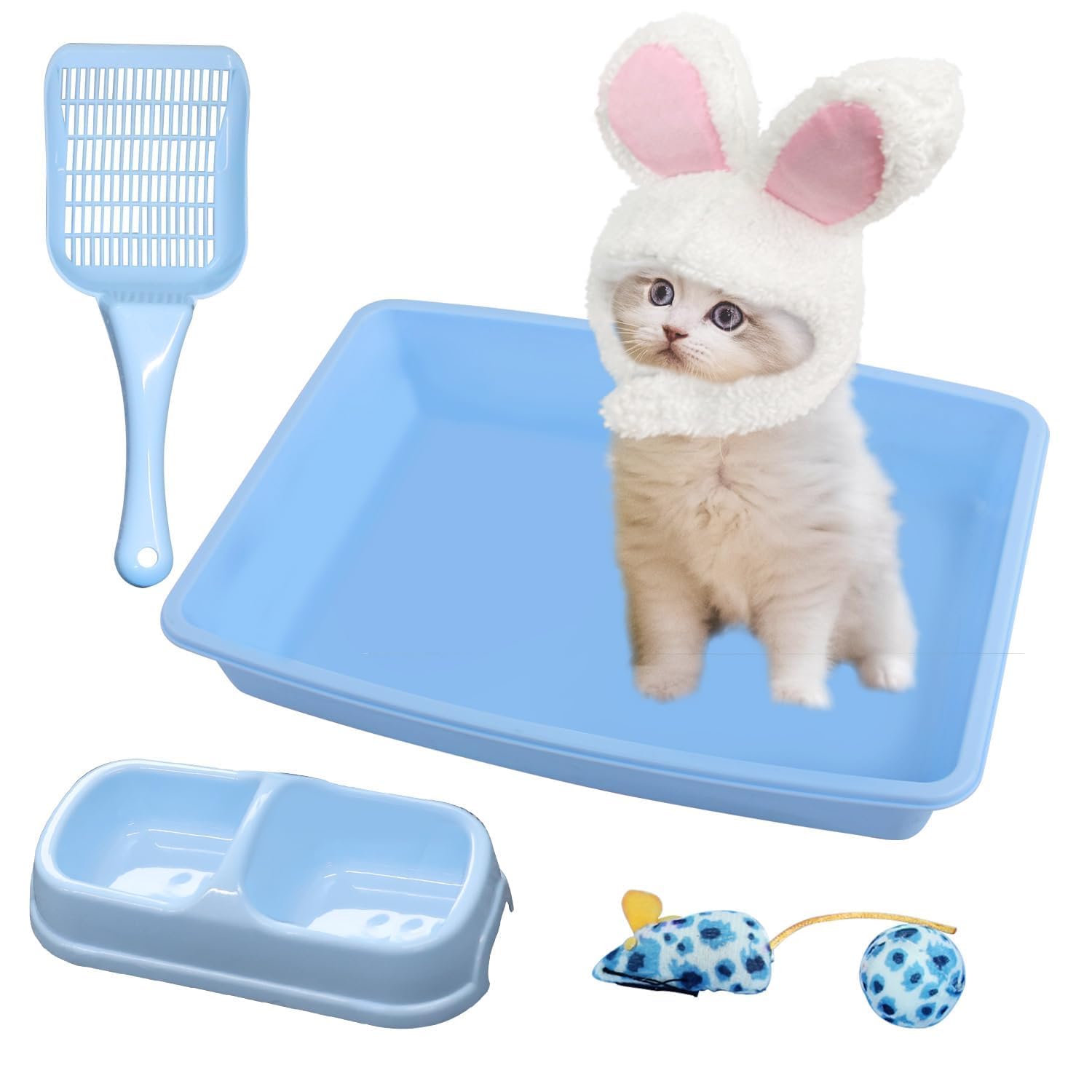 PAWISE Cat Litter Box Kitten Litter Box with Cat Litter Scooper Cat Bowls Cat Mouse Toy and Cat Ball Toy Kitten Starter Kit Blue