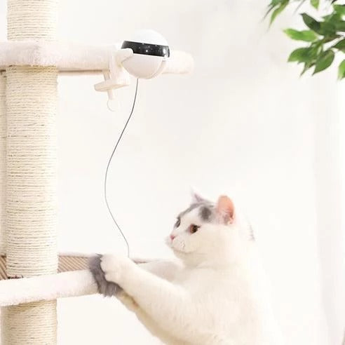 Interactive Electric Cat Toy with Elevating Ball