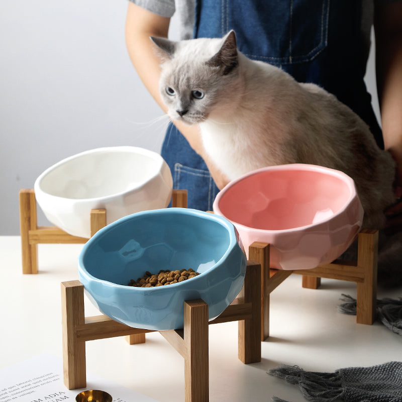 Ceramic Cat Bowl Set for Cats