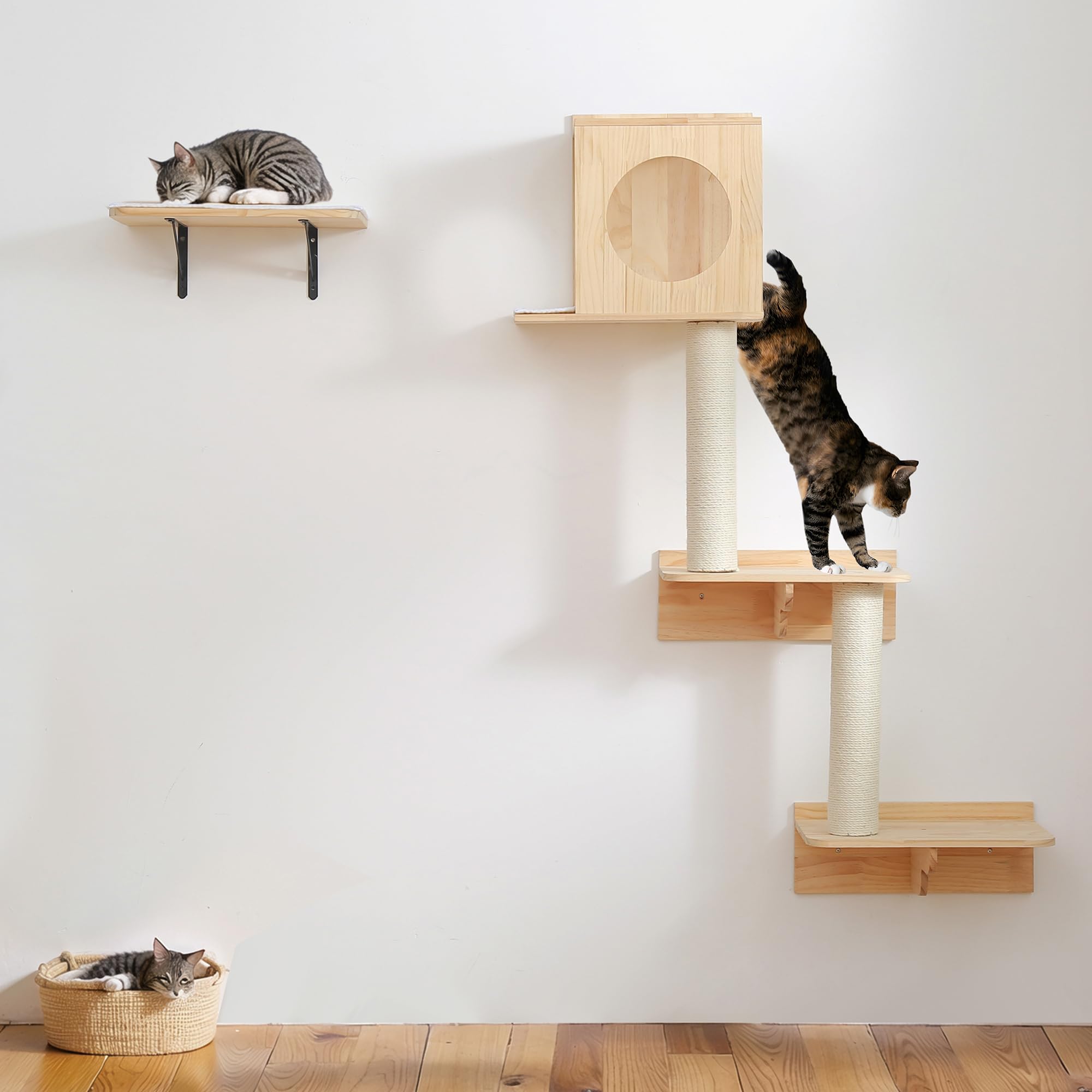 Modern Wall Cat Climbing Set