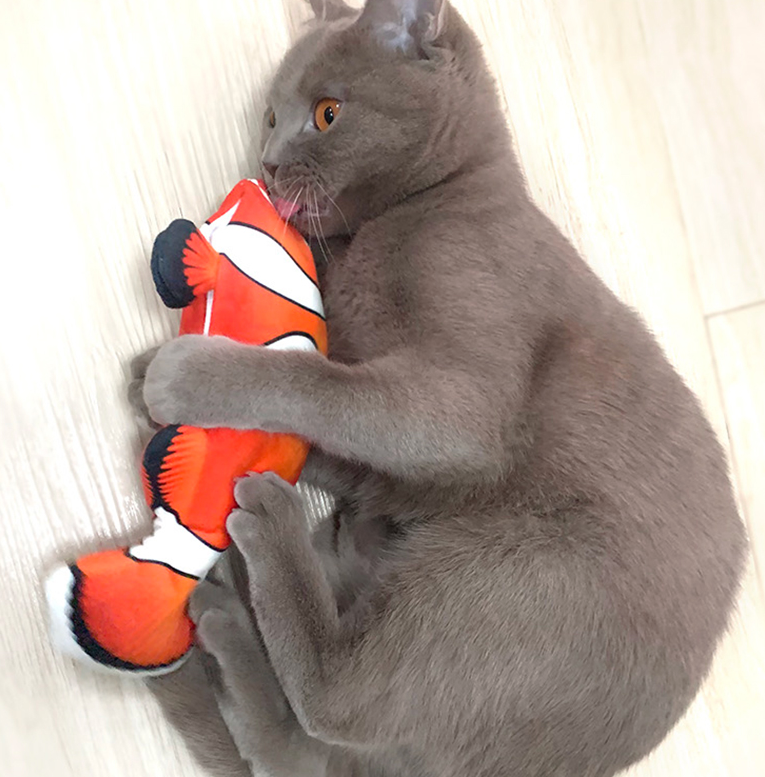 Dancing Fish Toy - Electric Moving Cat Toy (rechargeable)