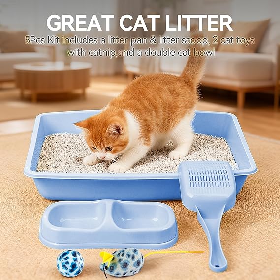 PAWISE Cat Litter Box Kitten Litter Box with Cat Litter Scooper Cat Bowls Cat Mouse Toy and Cat Ball Toy Kitten Starter Kit Blue