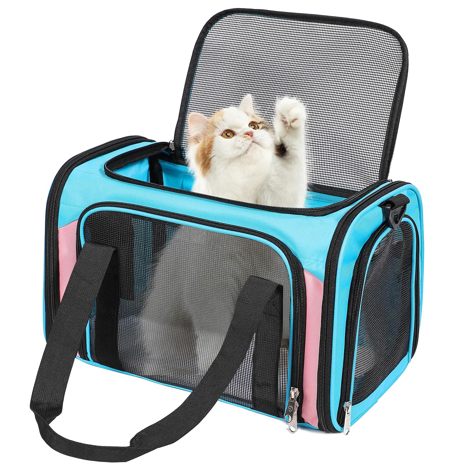 Discala Cat Carrier Up to 15 Lbs TSA Airline Approved Pet Carrier for Small Medium Cats - Blue&Pink 17"x11"x11"
