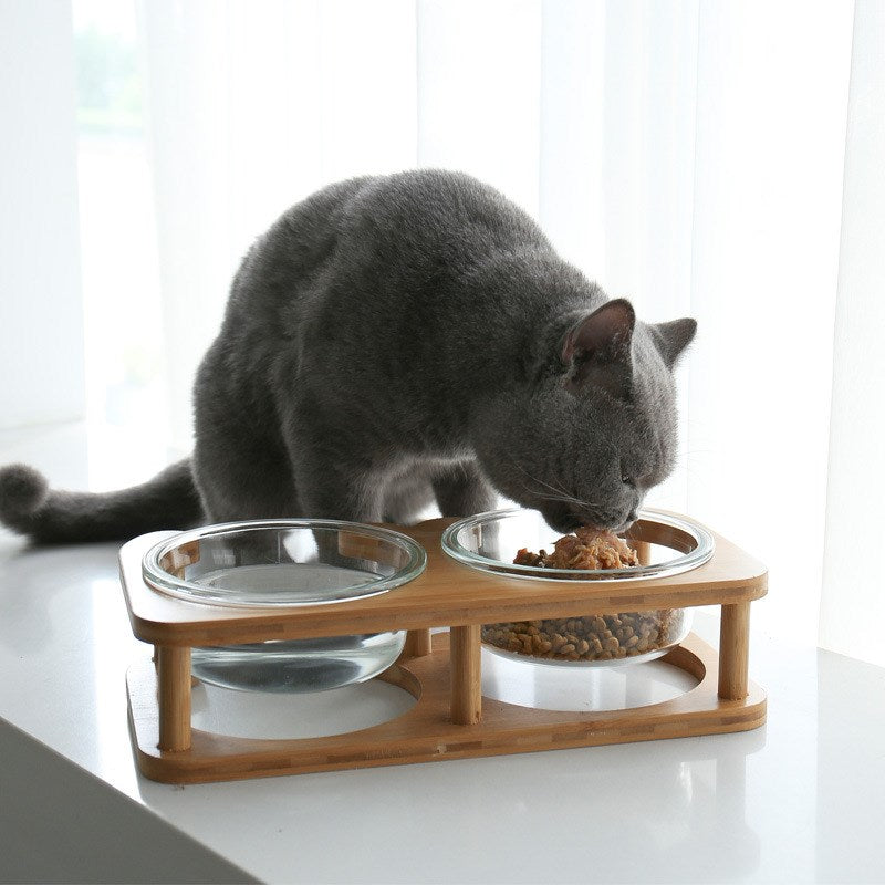 Glass Cat Bowl with Neck Support (Double)