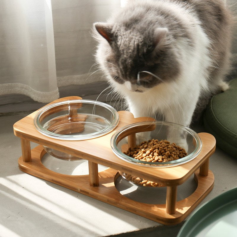 Glass Cat Bowl with Neck Support (Double)