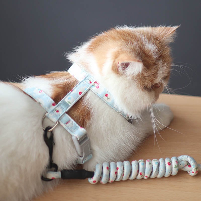 Simple Cat Leash with Anti-Stroke Pet Print Design