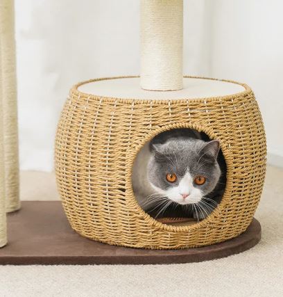 Stylish Cat Tree Tower