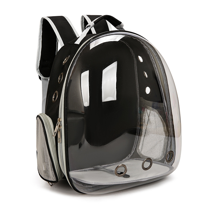 Transparent Cat Backpack and Carrier