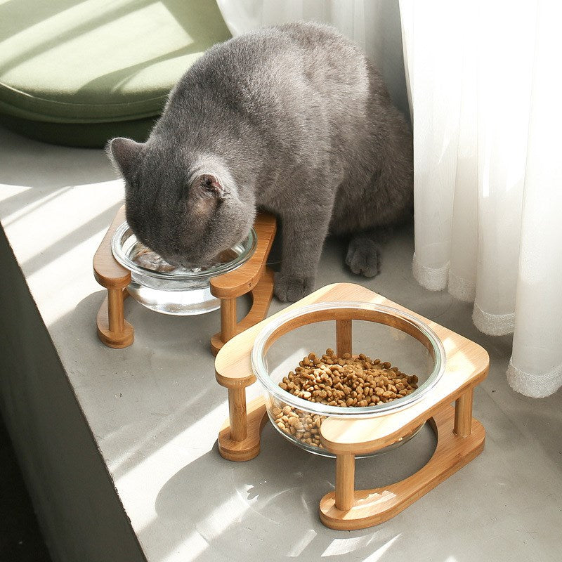Glass Cat Bowl with Neck Support (Double)