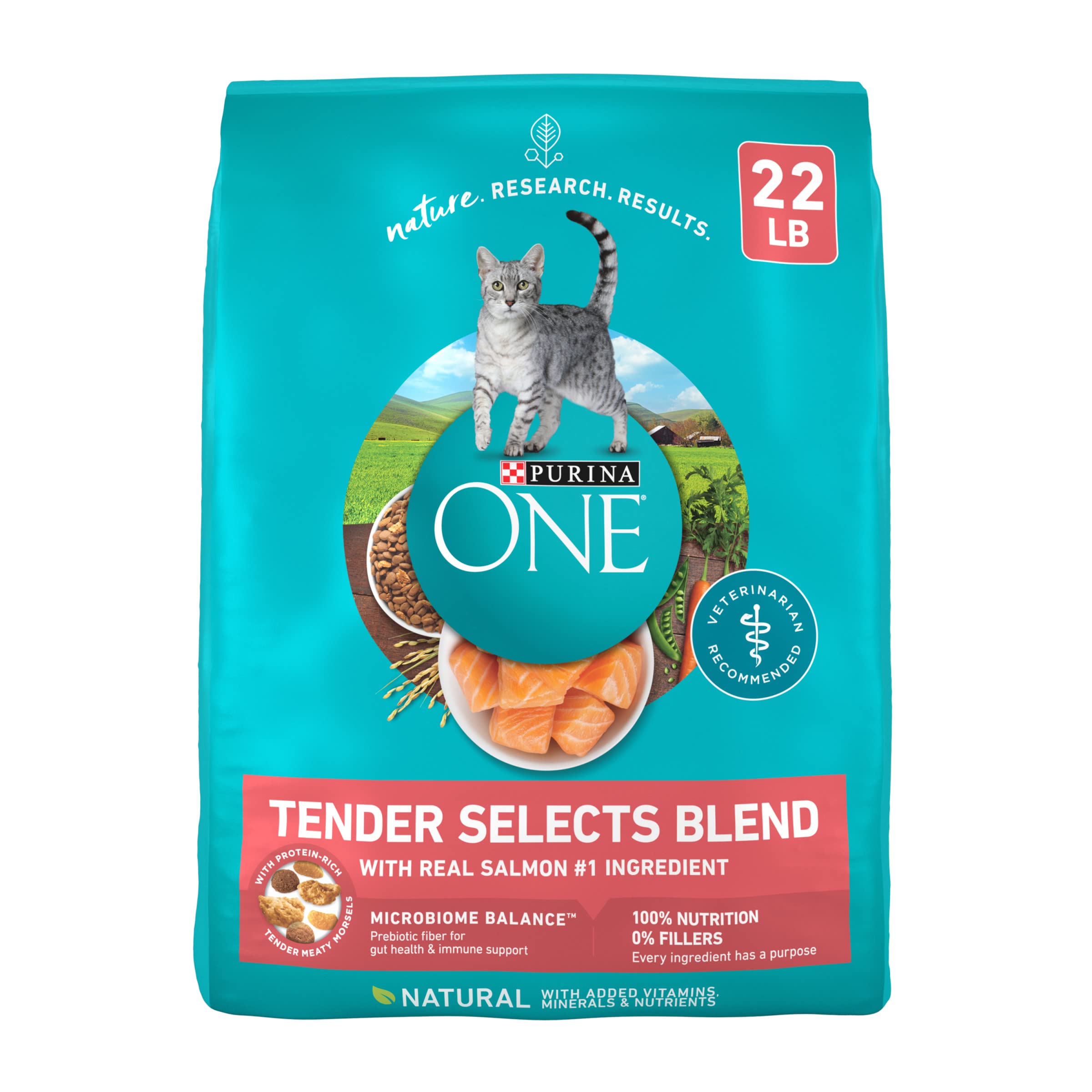 Purina ONE Natural Dry Cat Food Tender Selects Blend with Real Salmon - 22 lb. Bag