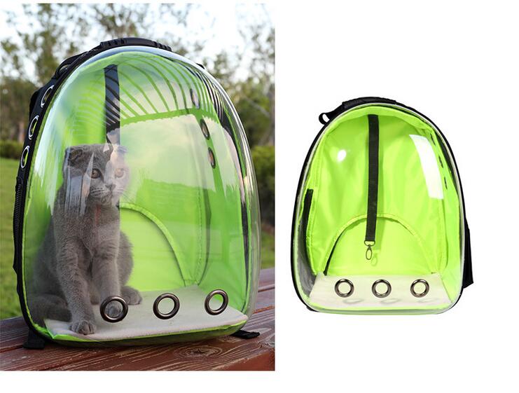 Transparent Cat Backpack and Carrier